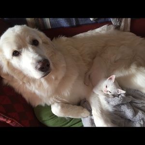 Meet your Posher, Caroline